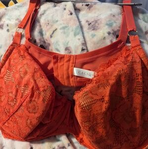 LAne Bryant Bra 46 DDD